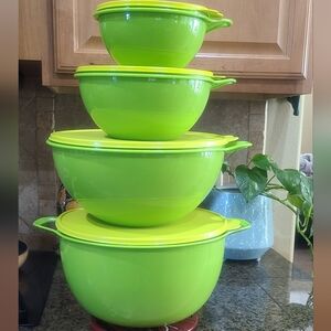 Tupperware set of 4 bowls- NEW